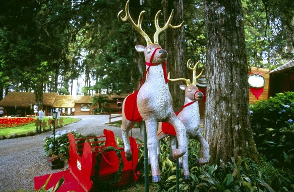 Parque Knorr - Aldeia do Papai Noel