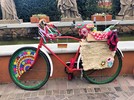 Gramado ganhou exposição de bicicletas