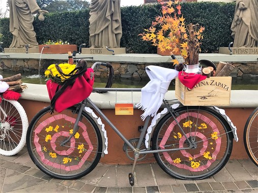 Gramado ganhou exposição de bicicletas
