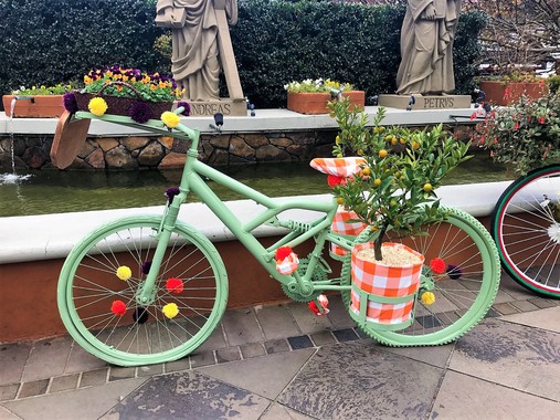 Gramado ganhou exposição de bicicletas