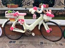 Gramado ganhou exposição de bicicletas