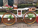 Gramado ganhou exposição de bicicletas