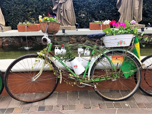 Gramado ganhou exposição de bicicletas