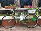 Gramado ganhou exposição de bicicletas