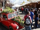﻿Tem comida e música boa no Festival de Gastronomia!