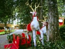 Natal Luz 2018