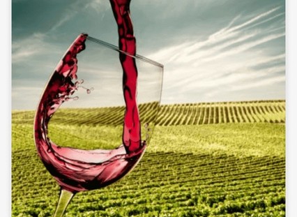 Wine bus by garibaldi enoturismo cultural 6294f5a628d16 large