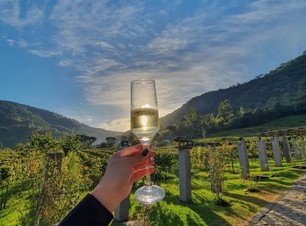 Wine Bus Canela Com Vinícola Jolimont e Almoço na Churrascaria Garfo e Bombacha