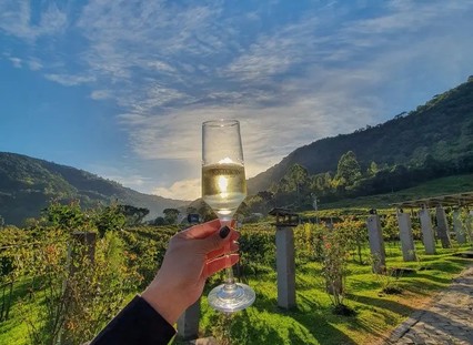 Wine bus em canela com vinicola jolimont almoco incluso na churrascaria garfo e bombacha pontos turisticos de canela 6298f46c8ea39 large