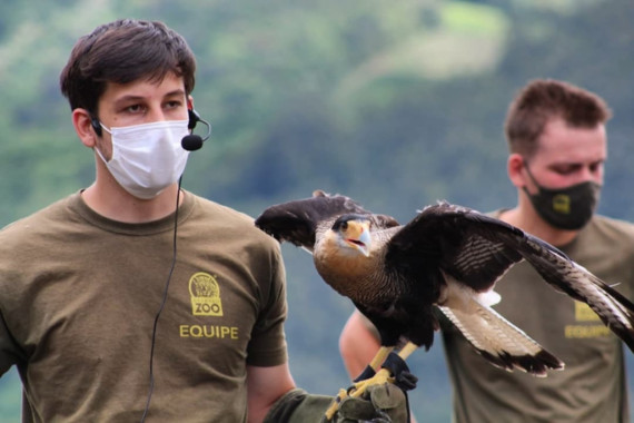 Um dos melhores Zoológicos do mundo fica em Gramado