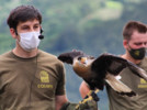 Um dos melhores Zoológicos do mundo fica em Gramado