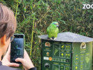 Um dos melhores Zoológicos do mundo fica em Gramado