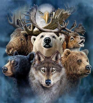 Espirito animal
