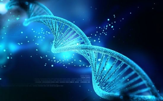 Dna 1030x643