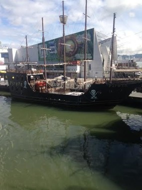 Transporte Ida/Volta para o Barco Pirata / Barra Sul