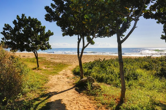 Portal Balneario Camboriu - A Cidade