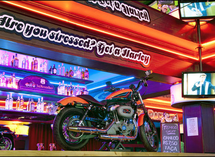 Harley motor show %282%29