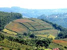 Rota Serra Gaúcha - A Cidade
