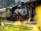 Trem Maria Fumaça e Epopeia Italiana
