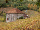 Vale Das Vinhas Turismo