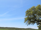 Vale Das Vinhas Turismo