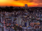 City Tour Viva Bento