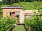 Vinícola Vallontano